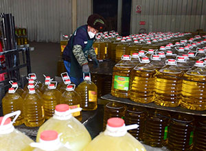 Food & Beverage Industry